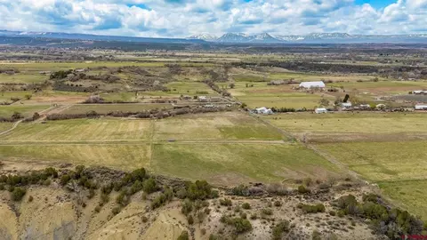 15773 Bull Mesa Rd, Cedaredge, CO 81410