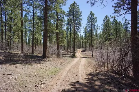 17 Road T7, Mancos, CO 81328