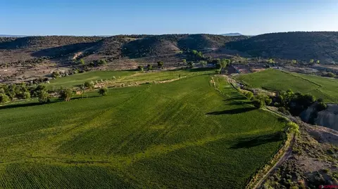11577 Shamrock Rd, Hotchkiss, CO 81419