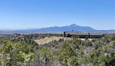 Tract 2 Road 28.8, Dolores, CO 81323