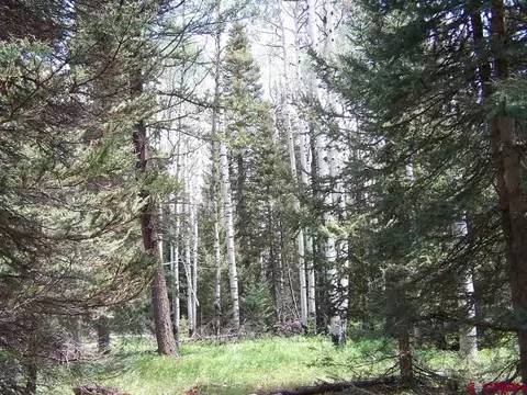 550 Snowshoe Ln, Cimarron, CO 81220