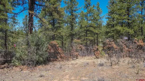 87 Engineer Pt, Pagosa Springs, CO 81147