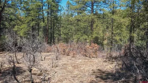 121 Engineer Pt, Pagosa Springs, CO 81147