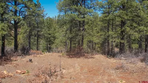149 Engineer Pt, Pagosa Springs, CO 81147