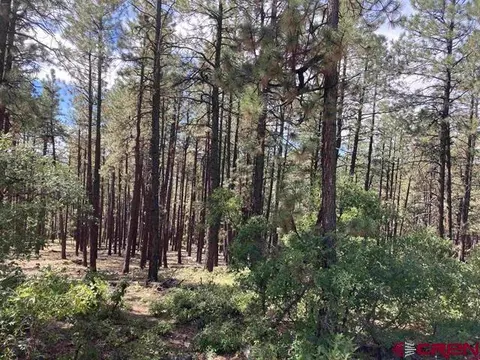 226 Elk Dr, Bayfield, CO 81122