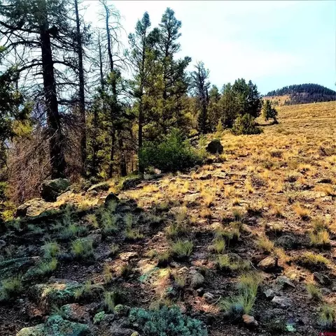294 Schofield Trl, Powderhorn, CO 81243