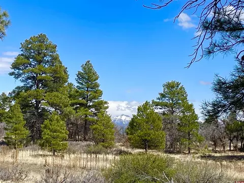 21 Eiffel Ct, Pagosa Springs, CO 81147