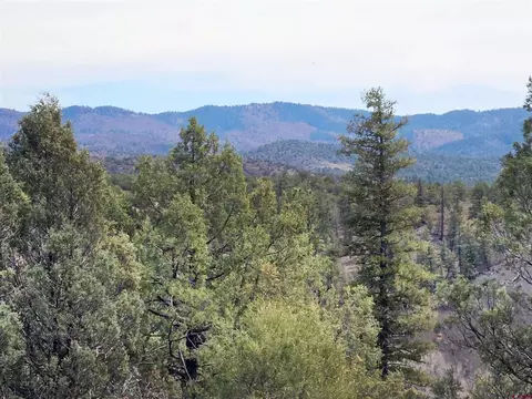 206 Alcazar Pl, Pagosa Springs, CO 81147