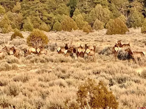 96 State Highway 595 #WILDERNESS RANCH, Regina, NM 87046
