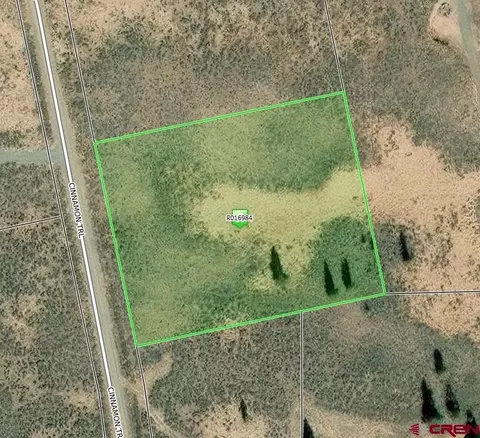 1316 Cinnamon Trl, Powderhorn, CO 81243