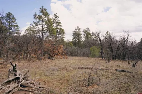 2612 Bull Elk Pl, Pagosa Springs, CO 81147