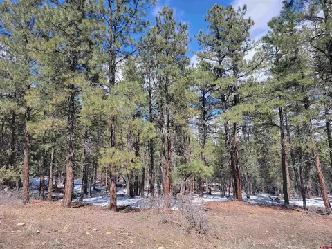 X Echo Lake Access Easement, Pagosa Springs, CO 81147