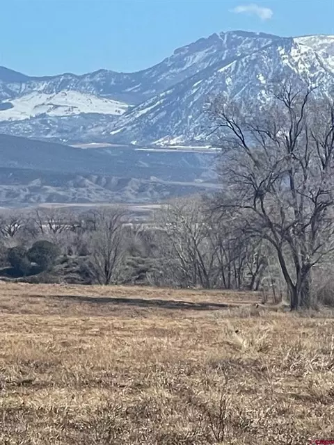 tbd 3300 Rd, Hotchkiss, CO 81419