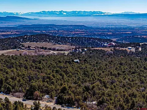 lot7 Wild Turkey Ln, Cedaredge, CO 81413