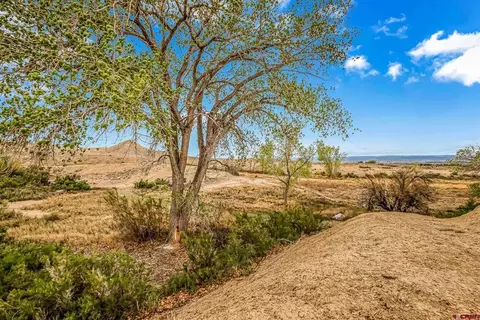 3610 6200 Rd, Olathe, CO 81425