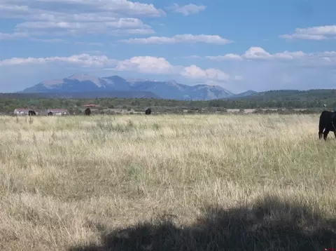 lot21 E County Road V44, Norwood, CO 81423