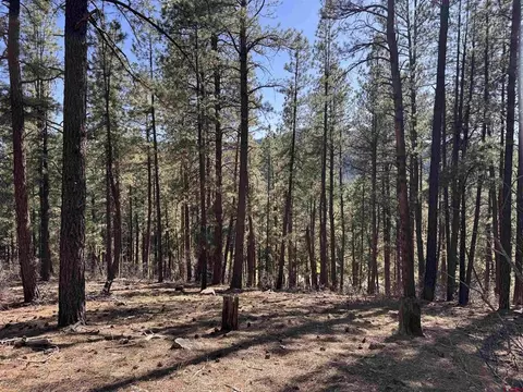135 Pine Cone Cir, Bayfield, CO 81122