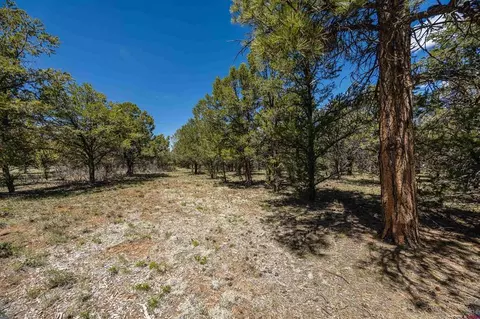 lot6 Waterview Ct, Ridgway, CO 81432