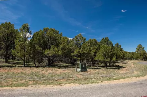 lot6 Waterview Ct, Ridgway, CO 81432