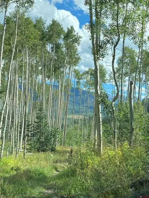 1341 Hampton Rd, Cimarron, CO 81220