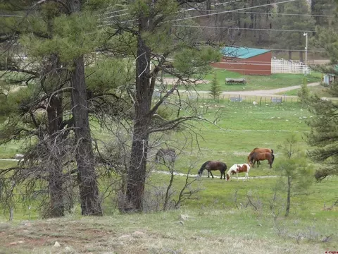 6 Laurel Dr, Pagosa Springs, CO 81147