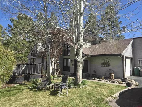 338 Whispering Pines Dr, Durango, CO 81301