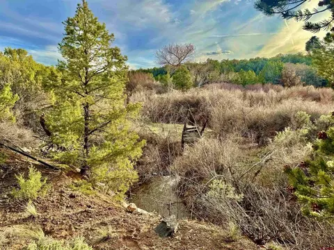 4665 S 9 810 Rd, Glade Park, CO 81523