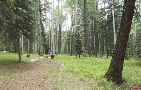 191 Aspen Trl, Cimarron, CO 81220 photo 1