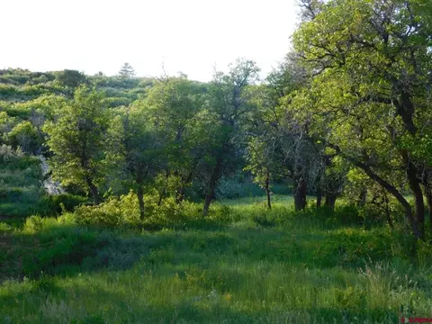 3365 Road 108, Dove Creek, CO 81324