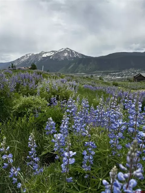 57 Summit Rd, Crested Butte, CO 81225