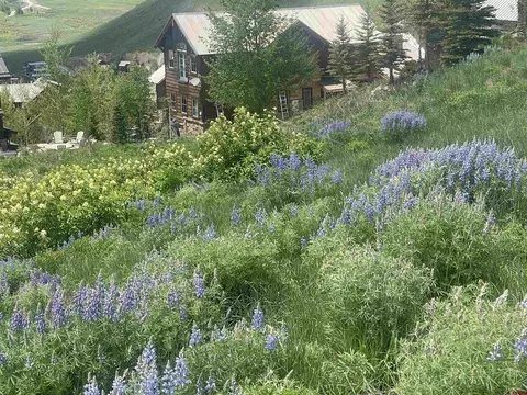 57 Summit Rd, Crested Butte, CO 81225 photo 5