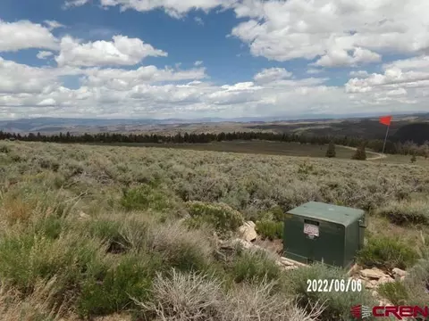 980 Cinnamon Trl, Powderhorn, CO 81243