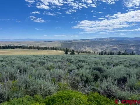 924 Cinnamon Trl, Powderhorn, CO 81243