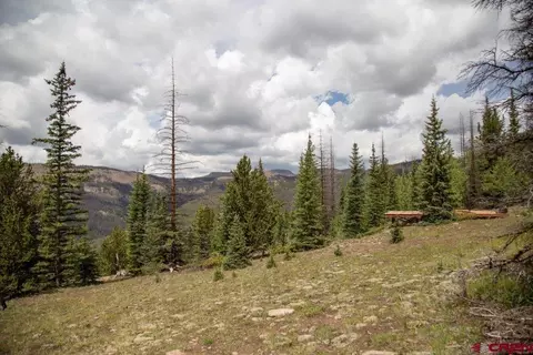 tbd Forest Service Road 503, Creede, CO 81130