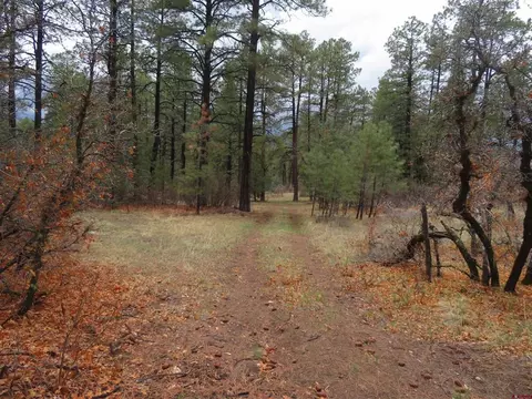 90 Harrys Ct, Pagosa Springs, CO 81147