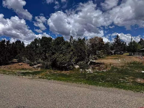 lot10 NE Ginters Grove Ln, Cedaredge, CO 81413