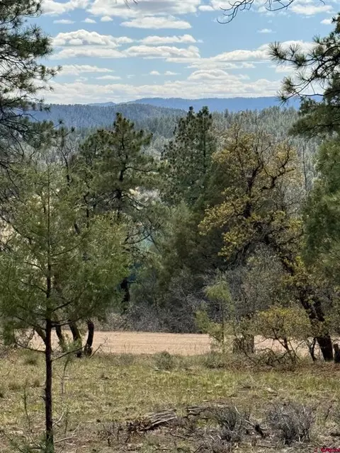 1035 W View Rd, Pagosa Springs, CO 81147