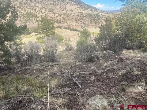65 Timberline Trl, South Fork, CO 81154