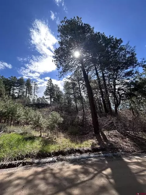 300 Berry Dr, Bayfield, CO 81122
