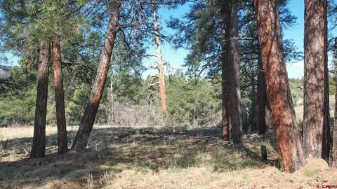 3169 Meadows Dr, Pagosa Springs, CO 81147