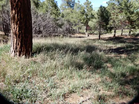 90 Knife Edge Pl, Pagosa Springs, CO 81147