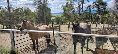 Other - 329 Payne Ln, Ignacio, CO 81137 photo 12 of 13