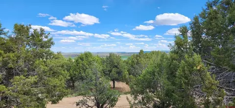 View/Area - 329 Payne Ln, Ignacio, CO 81137 photo 6 of 13