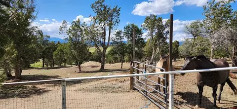 Exterior - 329 Payne Ln, Ignacio, CO 81137 photo 10 of 10