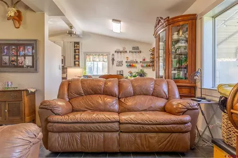 Living - 329 Payne Ln, Ignacio, CO 81137 photo 1 of 1