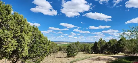 View/Area - 329 Payne Ln, Ignacio, CO 81137 photo 13 of 13