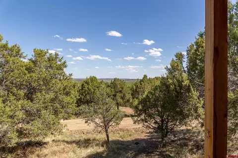 Other - 329 Payne Ln, Ignacio, CO 81137 photo 11 of 13