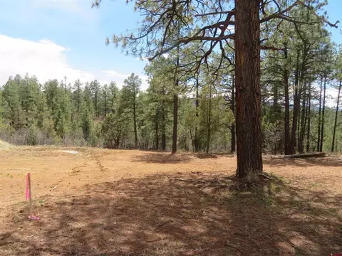 536 Doc Adams Rd, Pagosa Springs, CO 81147