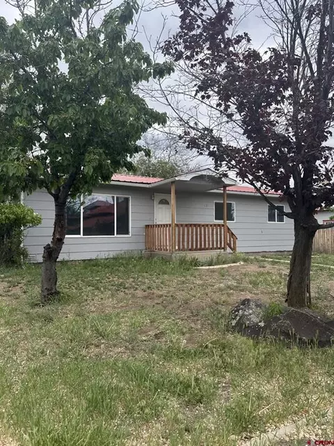 225 NW 3rd St, Cedaredge, CO 81413