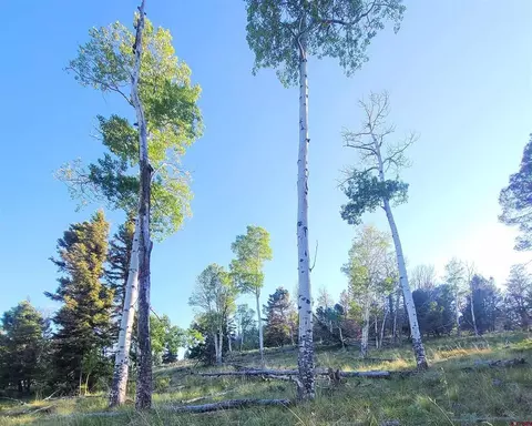 315 Kebler Trl, Powderhorn, CO 81243